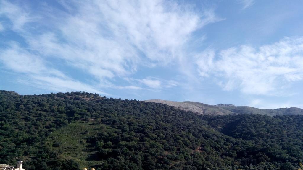 El Serrano * Benaojan
