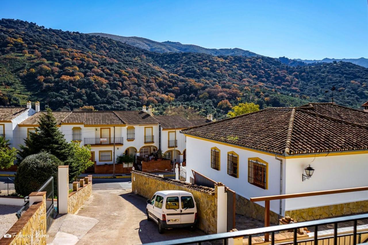El Serrano Benaojan